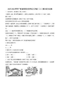 2025-2026学年广东省深圳市龙华区九年级(上)期末语文试卷-自定义类型