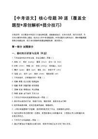 【中考语文】核心母题30道（覆盖全题型+原创解析+提分技巧）