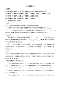 安徽省合肥市名校大联考2025-2026学年八年级上学期期中语文试题（含答案）（含解析）