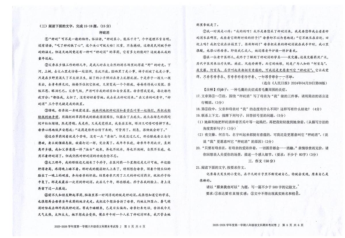广东省汕头市潮南区陈店镇公办学校2025-2026学年八年级上学期1月期末语文试题第3页