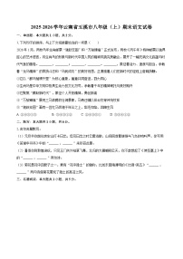 2025-2026学年云南省玉溪市八年级（上）期末语文试卷-自定义类型
