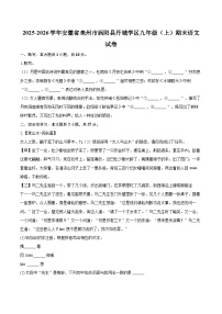 2025-2026学年安徽省亳州市涡阳县丹城学区九年级（上）期末语文试卷-自定义类型