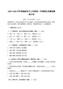 2025-2026学年统编版语文九年级第一学期期末质量检测练习卷