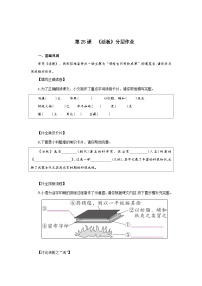 初中语文人教部编版（2024）七年级下册（2024）活板复习练习题