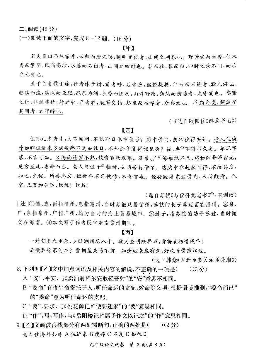 广东省河源市紫金县2025-2026学年九年级上学期1月期末语文试题第3页