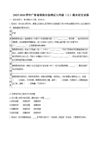 2025-2026学年广东省珠海市金湾区九年级（上）期末语文试卷-自定义类型
