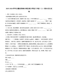 2025-2026学年安徽省淮南市寿县部分学校八年级（上）期末语文试卷-自定义类型