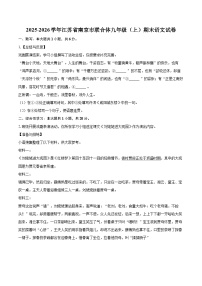 2025-2026学年江苏省南京市联合体九年级（上）期末语文试卷（含答案+解析）