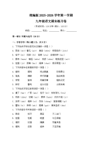 统编版2025-2026学年第一学期九年级语文期末练习卷（含答案）