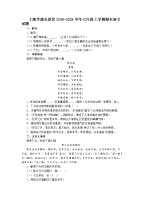 上海市浦东新区2025-2026学年七年级上学期期末语文试题及答案