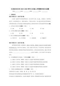 2025-2026学年江西省吉安市七年级上学期期末语文试题(含答案)