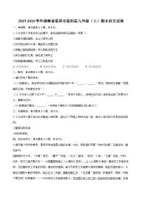 2025-2026学年湖南省岳阳市岳阳县九年级（上）期末语文试卷-自定义类型