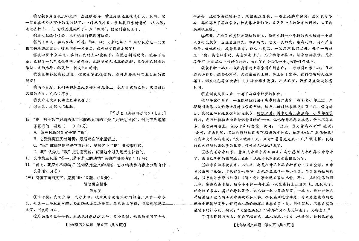 广东省汕尾市2024-2025学年七年级上学期期末考试语文试题第3页