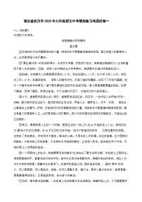 湖北省武汉市2025年九年级语文中考模拟练习巩固试卷一