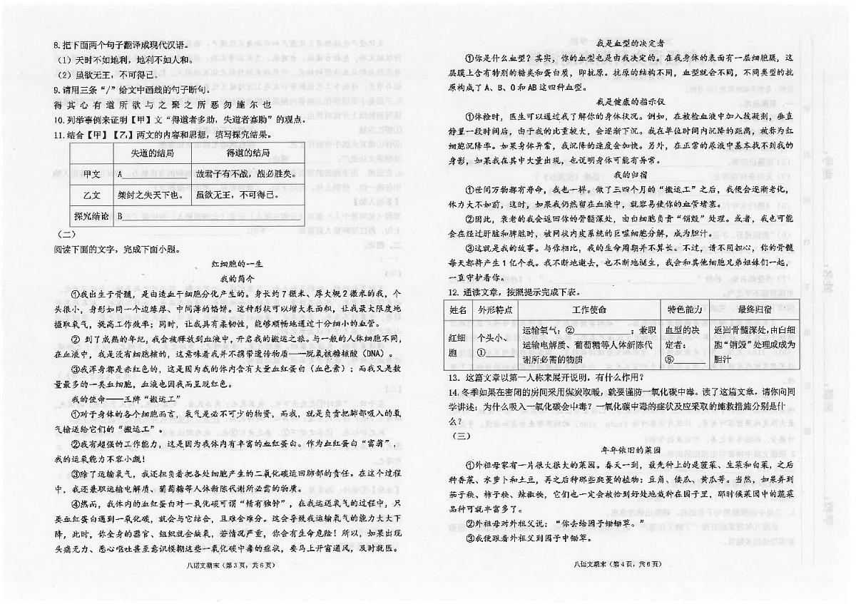 广东省汕头市潮南区陈店公办八校2024-2025学年八年级上学期12月期末语文试题第2页