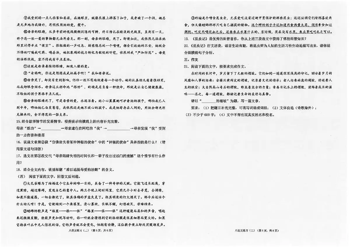 广东省汕头市潮南区陈店实验学校等校联考2024-2025学年八年级上学期12月月考语文试题第3页