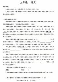 2025-2026学年河南省郑州市九年级上学期期末考试语文试题（含答案）