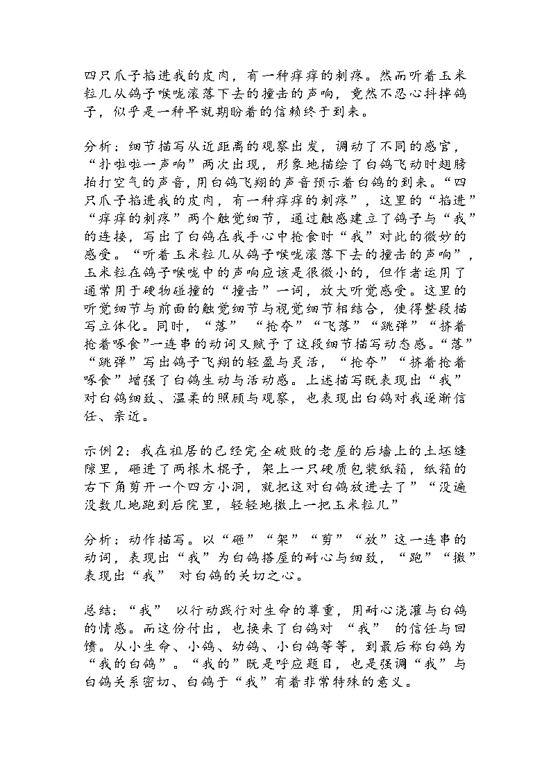 部编人教版初中七年级语文上册第18课《我的白鸽》教学设计 -2025-2026学年统编版第3页