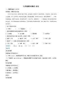 吉林省松原市扶余市部分学校2025-2026学年九年级上学期期末语文试题（含答案）（含解析）