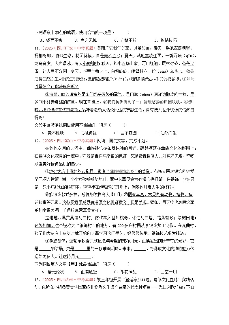 中考二轮复习真题练——成语篇(原卷版)第3页
