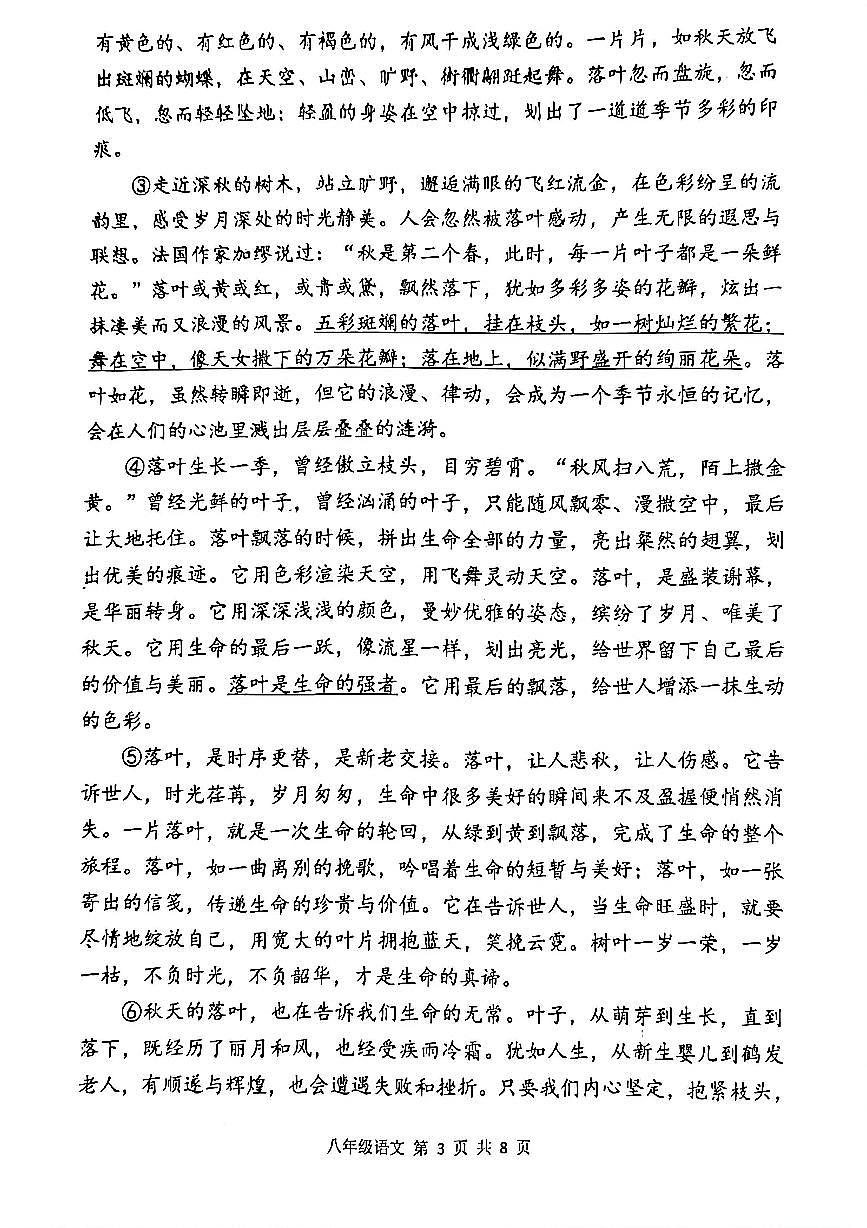 河南洛阳市洛宁县2025-2026学年上学期期末学情调研八年级 语文试卷第3页