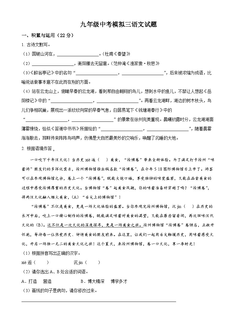 精品解析:2025年江苏省徐州市沛县五中联盟学区中考模拟语文试题(原卷版)第1页