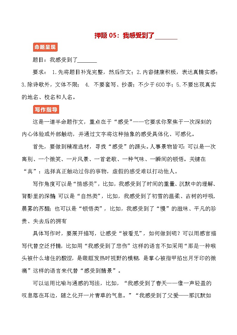 作文终极押题05:我感受到了——-2026年中考语文作文专题复习讲练(全国通用)第1页
