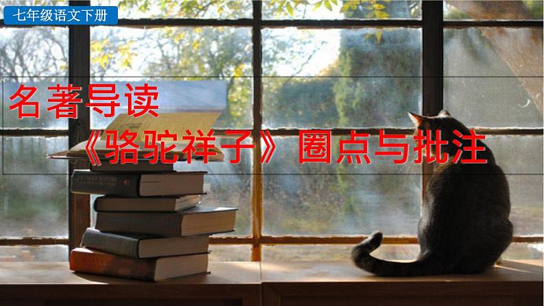 第三单元 名著导读《骆驼祥子》圈点与批注 课件01