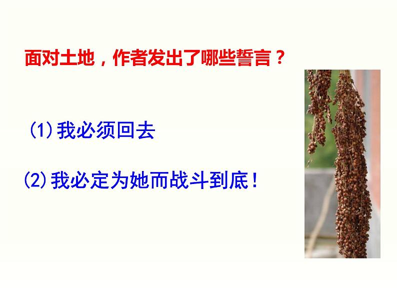 7 土地的誓言第8页