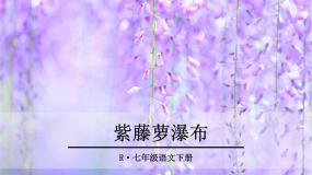 初中语文人教部编版七年级下册17 紫藤萝瀑布优秀ppt课件