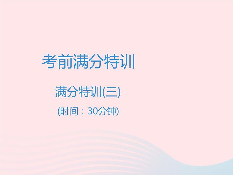 广东专用中考语文高分突破满分特训课件301