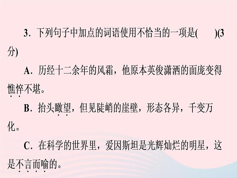 广东专用中考语文高分突破满分特训课件305