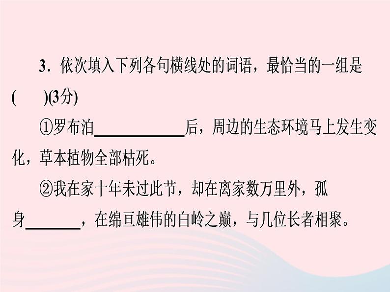 广东专用中考语文高分突破满分特训课件11课件06