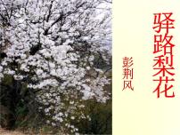 语文14 驿路梨花教课课件ppt