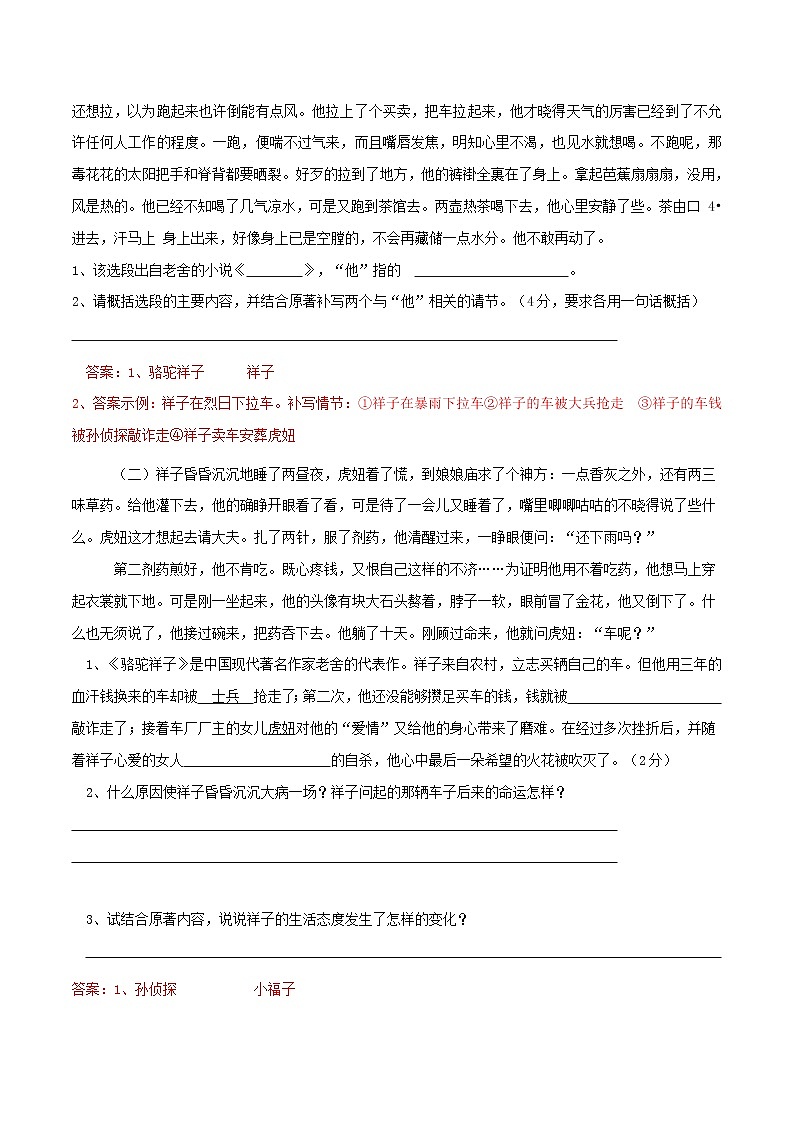 名著阅读《骆驼祥子》专题训练题(教师版)第3页