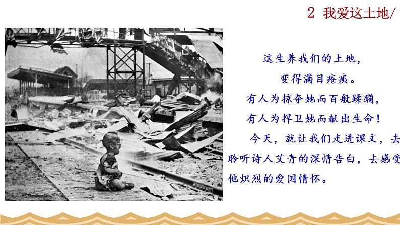 部编版语文九年级上册:3《我爱这土地》课件+音频素材02