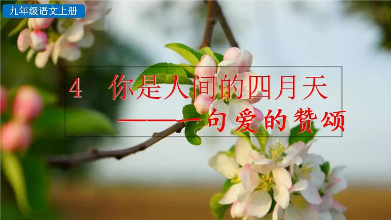 部编版语文九年级上册:5《你是人间的四月天》课件+音频素材02