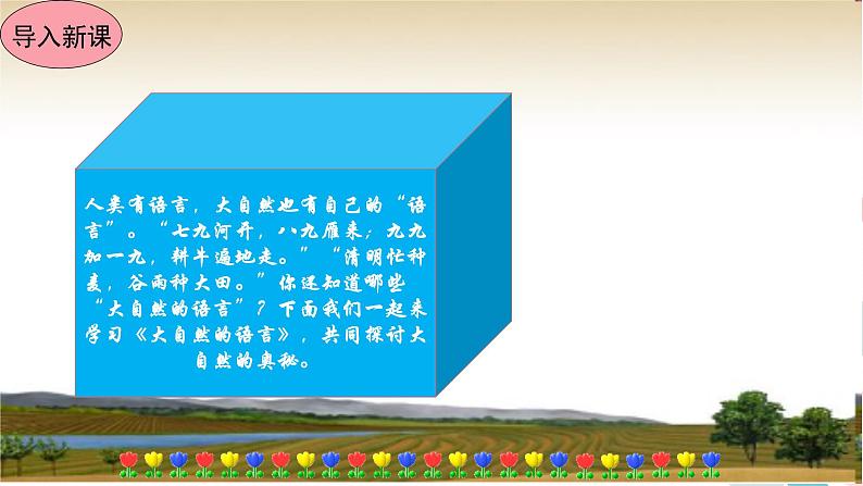 大自然的语言公开课课件第2页