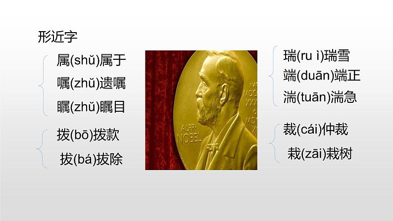 人教部编版八年级语文上册2首届诺贝尔奖颁发第6页