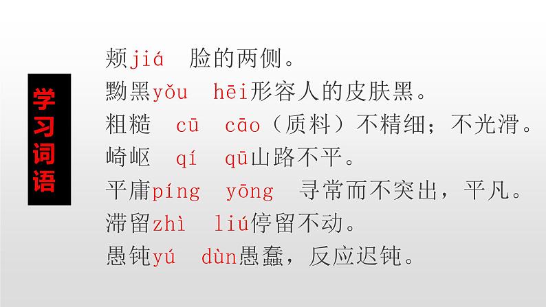 人教部编版八年级语文上册8列夫 ·托尔斯泰 课件07