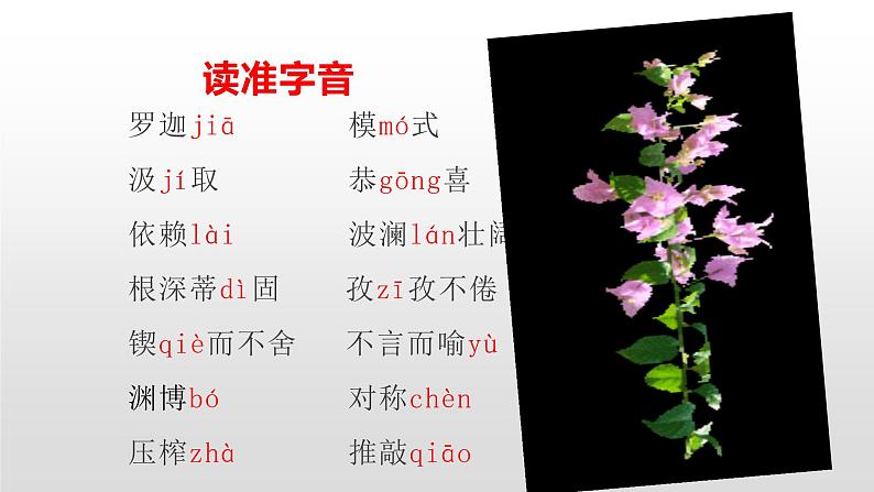 人教部编版九年级语文上册19谈创造新思维 课件05
