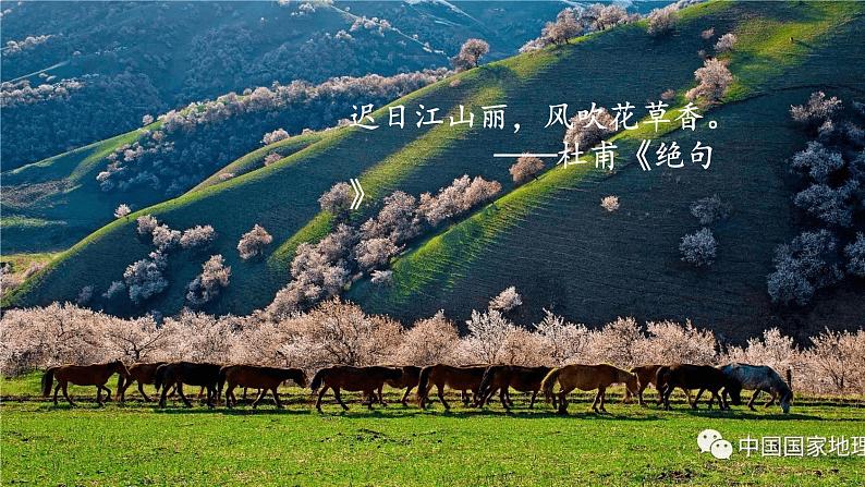 《春》 课件第2页