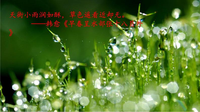 《春》 课件第3页
