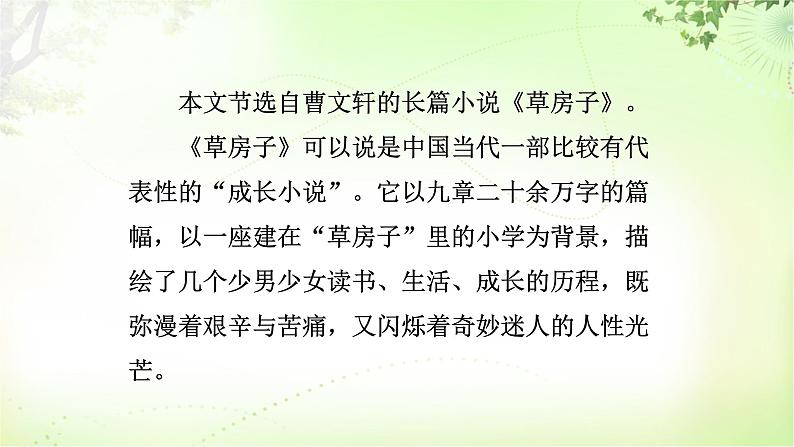 17 孤独之旅 PPT课件_九上语文07