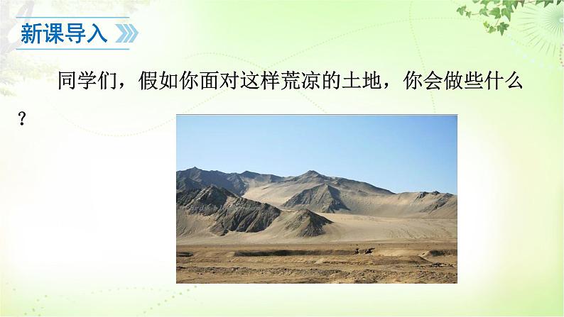 13 植树的牧羊人 PPT课件_七上语文03