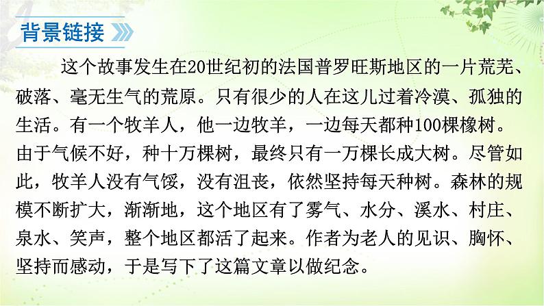 13 植树的牧羊人 PPT课件_七上语文07