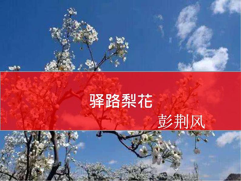14 驿路梨花 课件-人教部编版七年级语文下册第1页