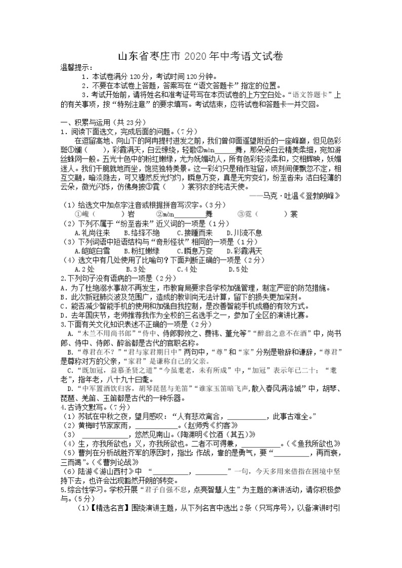 2020年山东省枣庄市中考语文试卷（含答案解析）01