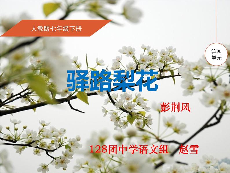 14 驿路梨花 课件02