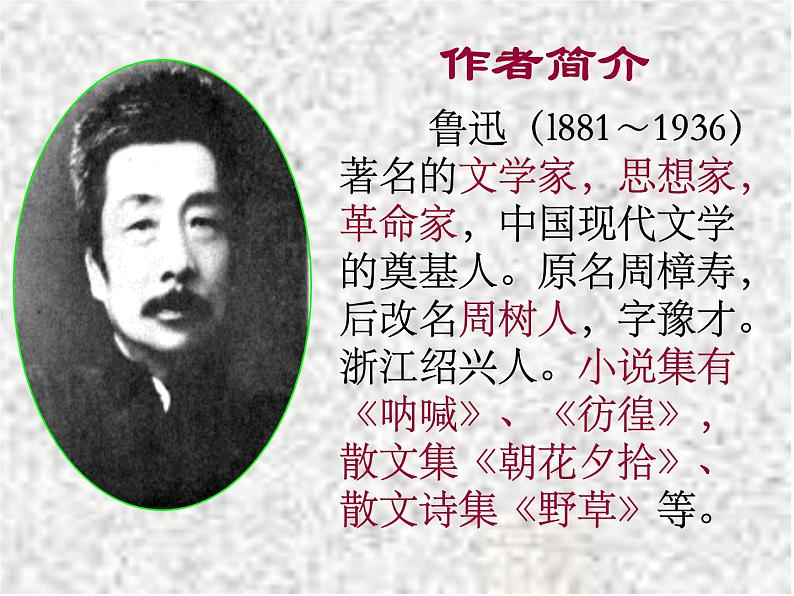 部编版九年级语文上册14故乡课件-第3页